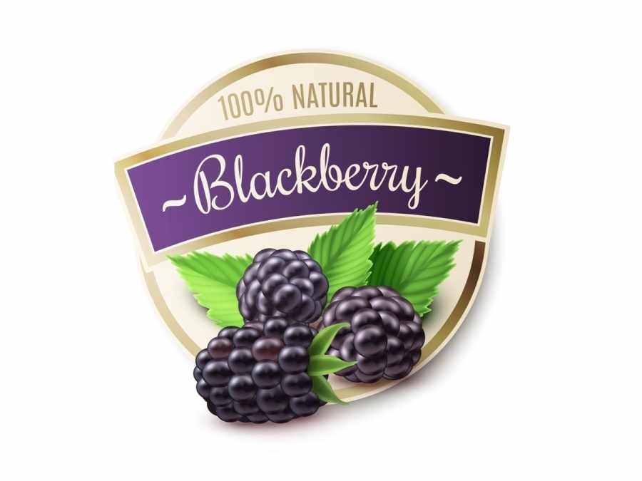 Этикетка самоклеящаяся «Ежевика»